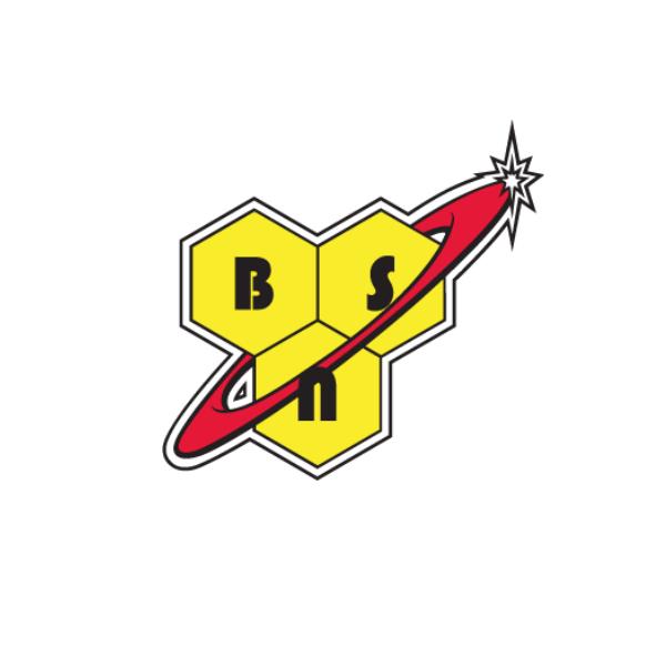 BSN