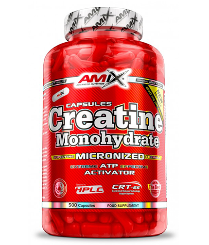 Amix Creatine Monohydrate 800mg  500 caps